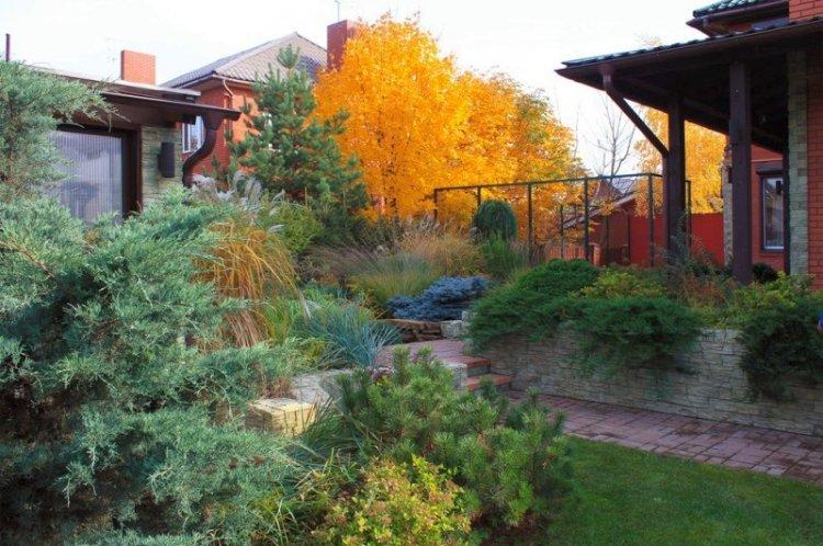 Газоны и клумбы - Ландшафтный дизайн дачного участка фото