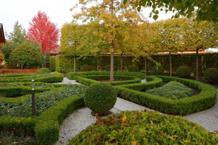 Газоны и клумбы - Ландшафтный дизайн дачного участка фото