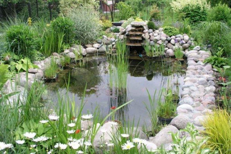Водоемы и фонтаны - Ландшафтный дизайн дачного участка фото