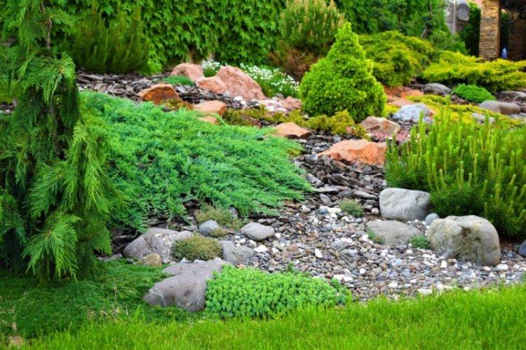 Альпийские горки - Ландшафтный дизайн дачного участка фото