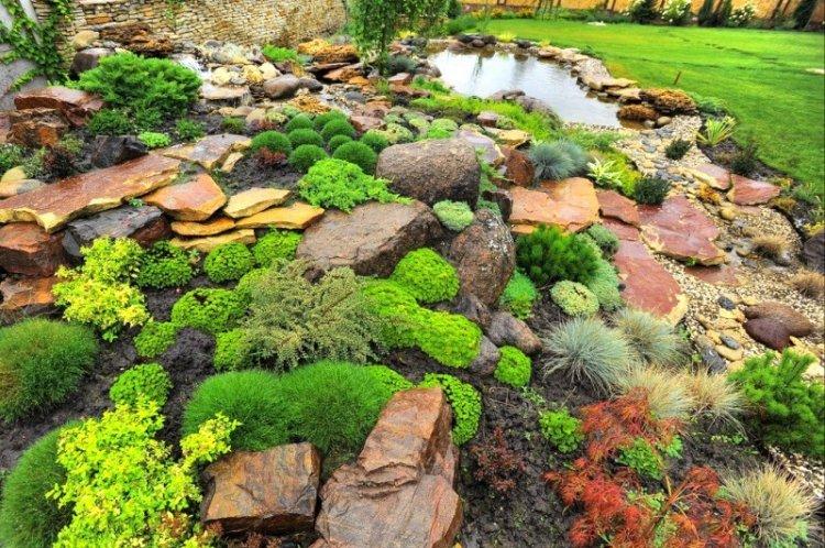 Альпийские горки - Ландшафтный дизайн дачного участка фото