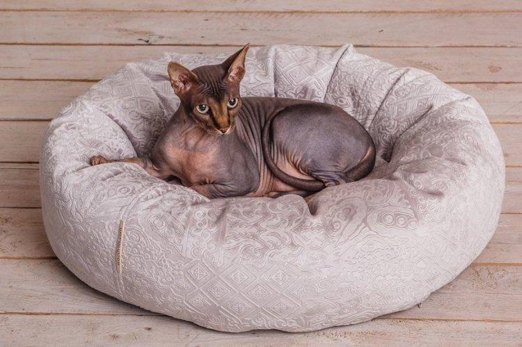 Лежанка для кошки своими руками - фото и идеи