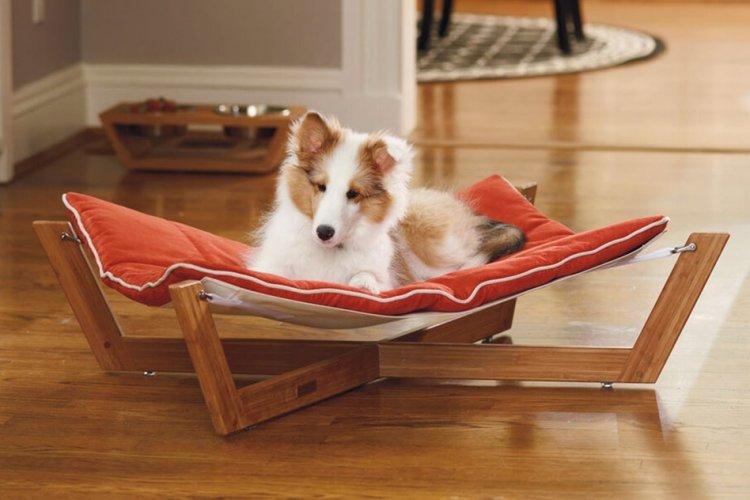 Лежанка для собаки своими руками - фото и идеи