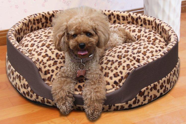 Лежанка для собаки своими руками - фото и идеи