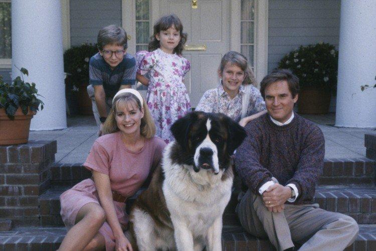 Бетховен - лучшие фильмы про собак