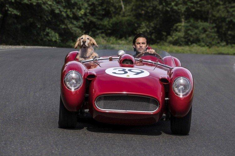 Невероятный мир глазами Энцо - лучшие фильмы про собак