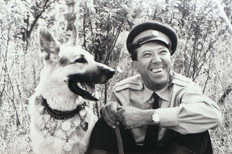 Ко мне Мухтар - лучшие фильмы про собак