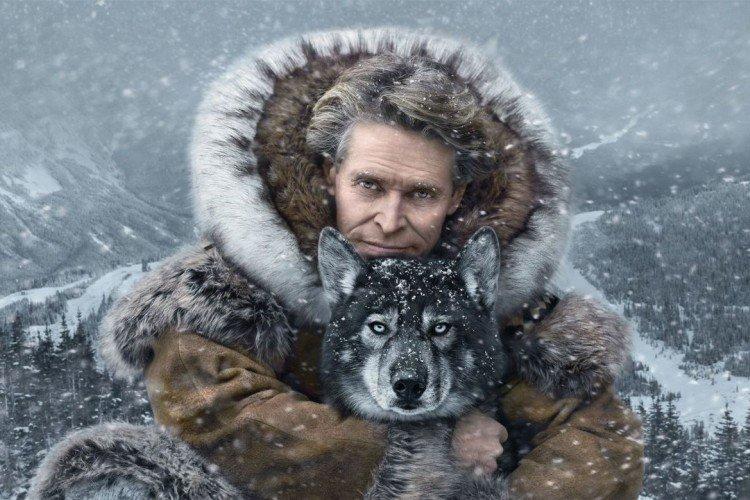 Того - Лучшие фильмы про выживание