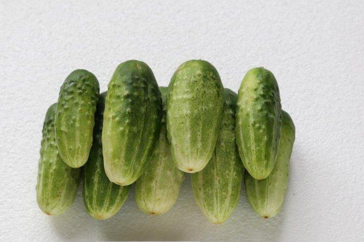 Ерофей - Лучшие сорта огурцов для открытого грунта в Подмосковье