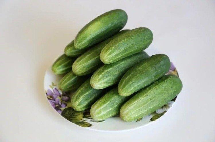 Ерофей - Лучшие сорта огурцов для Подмосковья