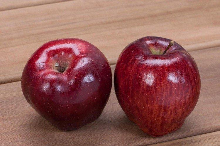 Ред Делишес - Красные сорта яблонь для Подмосковья