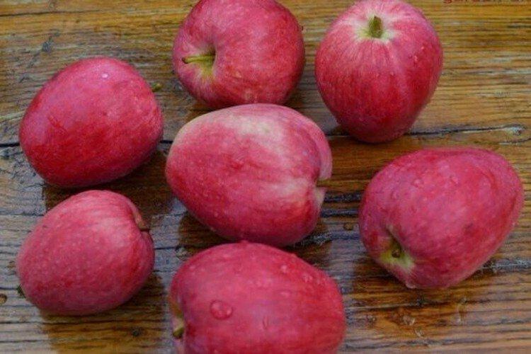 Летнее полосатое - Летние сорта яблонь