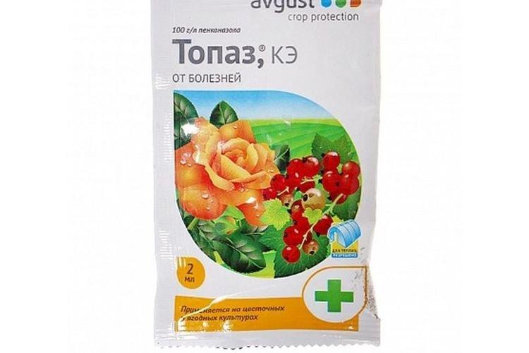 Топаз - Обработка крыжовника от мучнистой росы