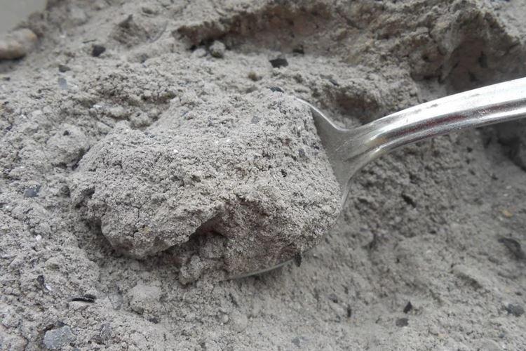 Зола - Народные средства от мучнистой росы на крыжовнике