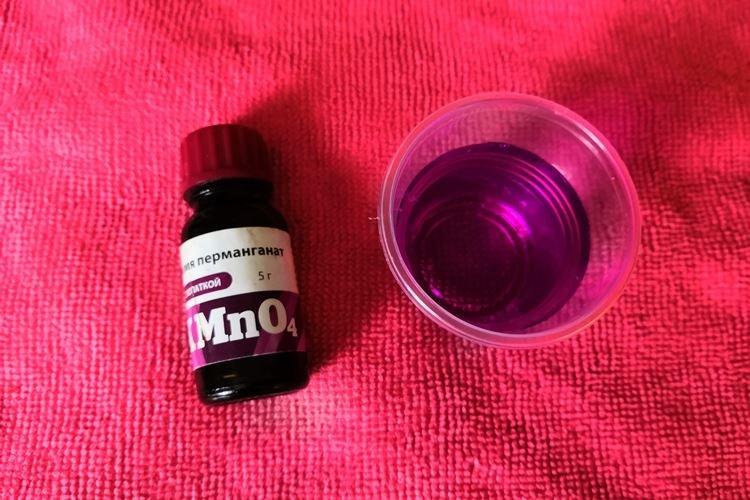 Марганцовка - Народные средства от мучнистой росы на крыжовнике