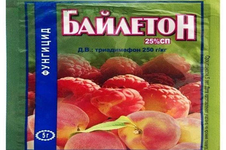 Байлетон - Обработка розы от мучнистой росы