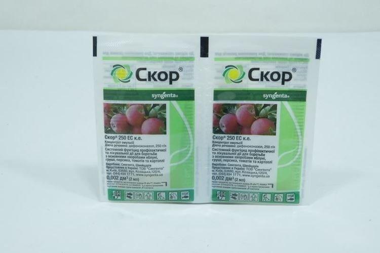 Скор - Обработка смородины от мучнистой росы