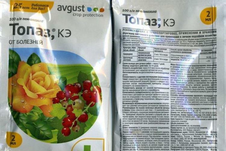 Топаз - Обработка смородины от мучнистой росы