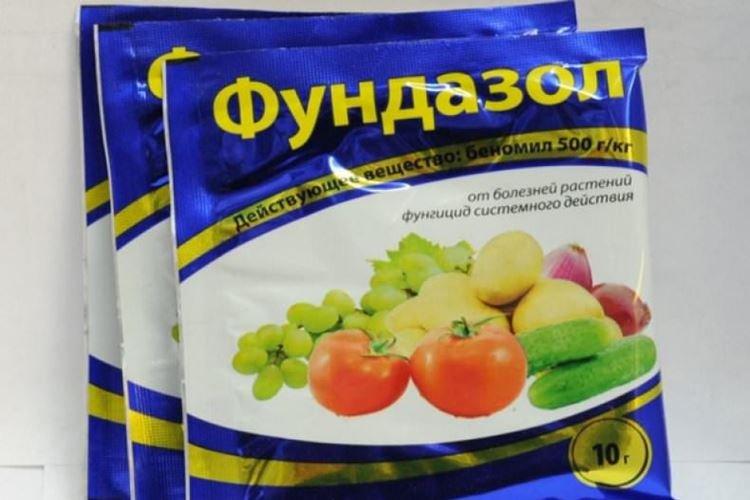 Фундазол - Обработка смородины от мучнистой росы