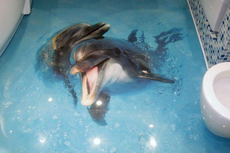 Наливные 3D-полы в ванной комнате - фото