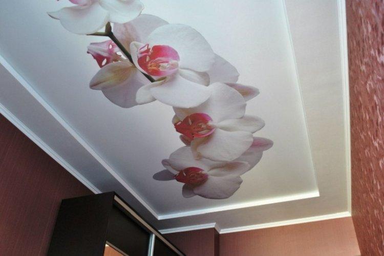 Натяжные потолки с фотопечатью в прихожей