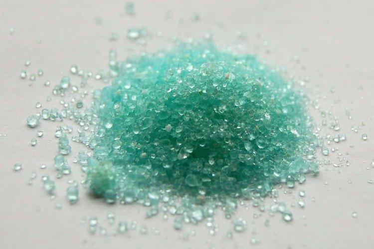 Обработка смородины от антракноза