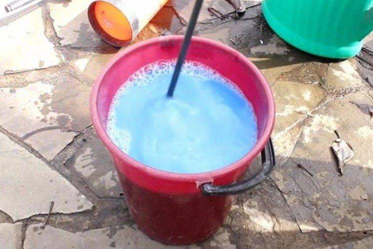 Обработка смородины бордосской жидкостью от ржавчины