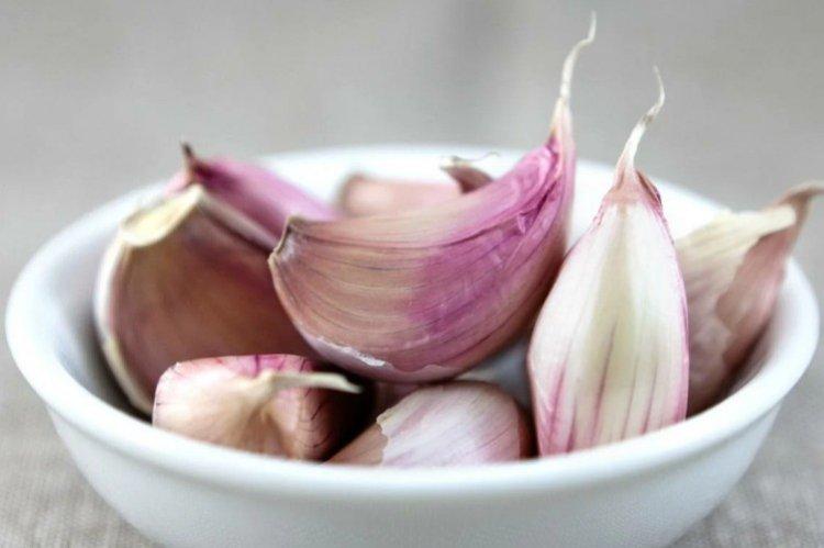 Обработка смородины настоем чеснока от гусениц