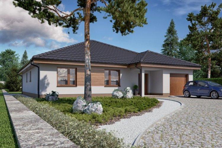 Одноэтажный дом с гаражом - проекты и фото