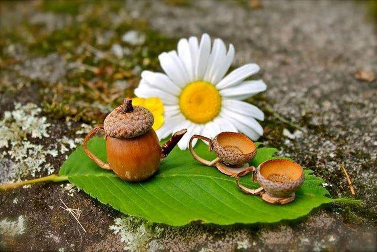 Осенние поделки в детский садик своими руками - фото и идеи