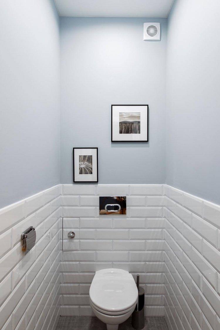 Краска - отделка стен в туалете