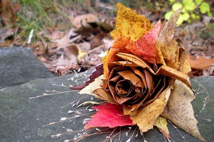 Поделки из осенних листьев для детей - фото и идеи