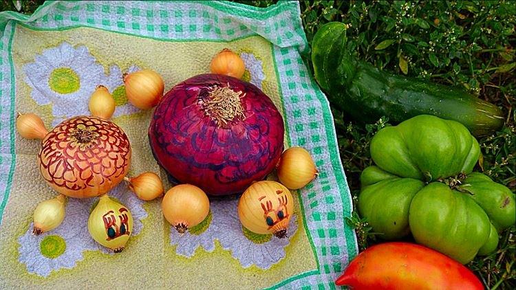 Черепашки из лука - Поделки из овощей для детского сада