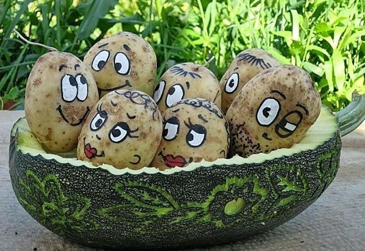 Поделки из овощей для детского сада - фото и идеи