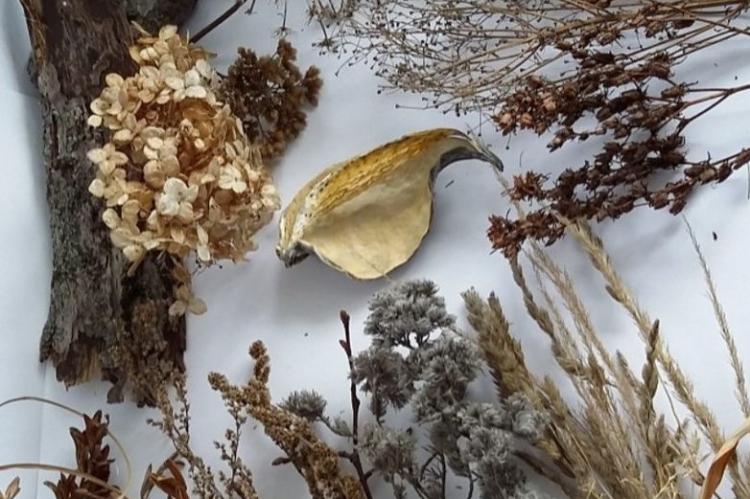 Панно из сухоцвета - Рукоделие для дома