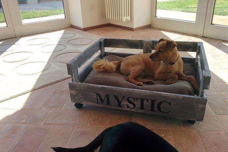 Лежанка для собаки - Садовая мебель из поддонов для дачи фото