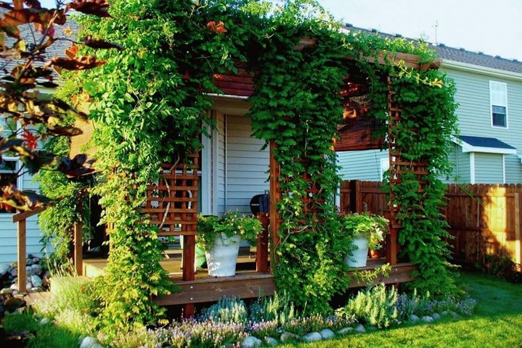 Живые садовые беседки