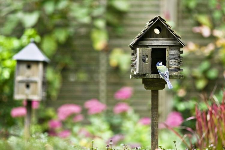 Украшения для сада своими руками - фото