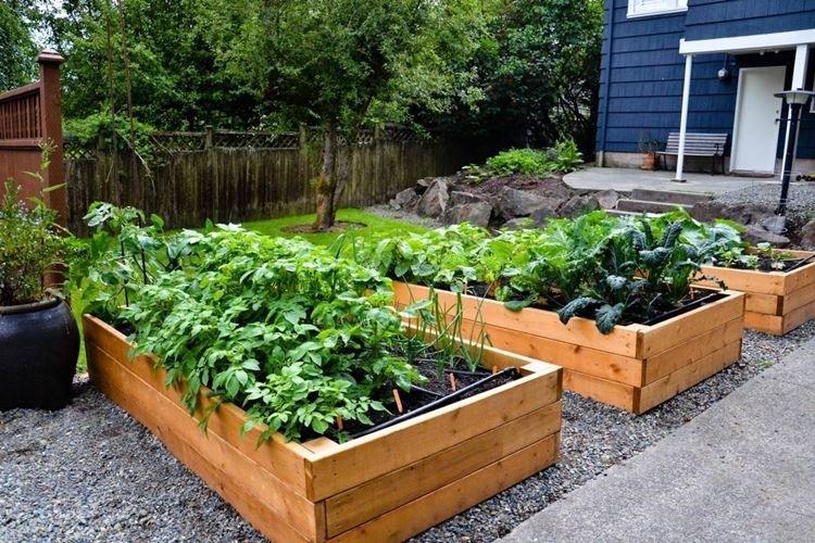 Высокие грядки своими руками из дерева